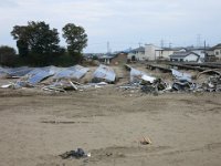 IMG (122)